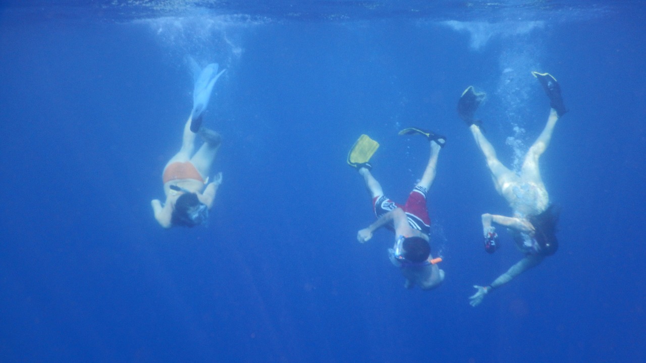Photo of Others in Honaunau-Napoopoo