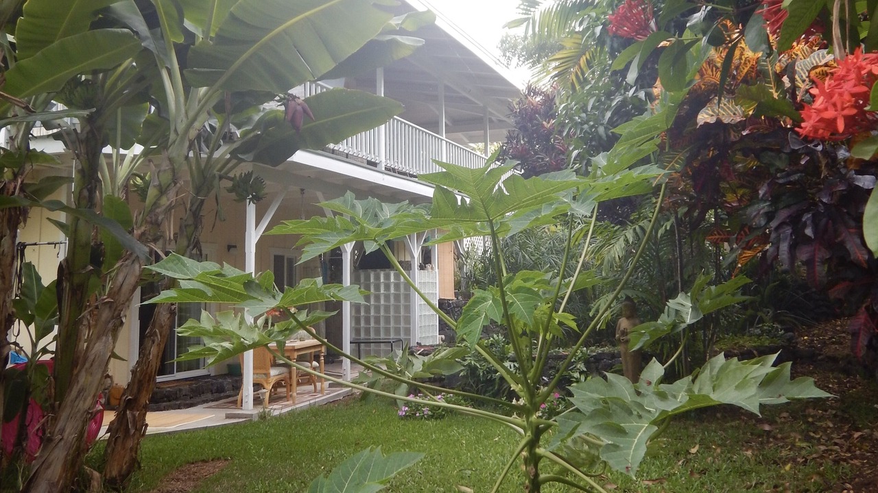 Photo of Others in Honaunau-Napoopoo