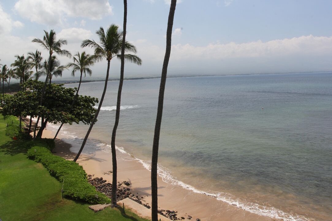 Photo of Others in Maalaea