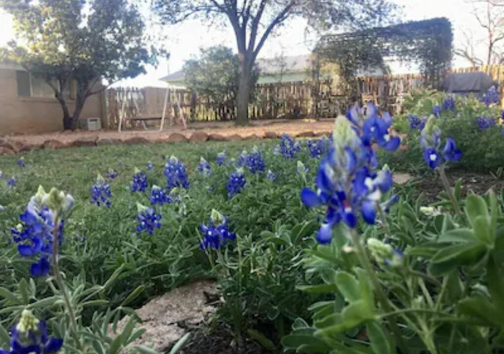 Photo of Others in Llano
