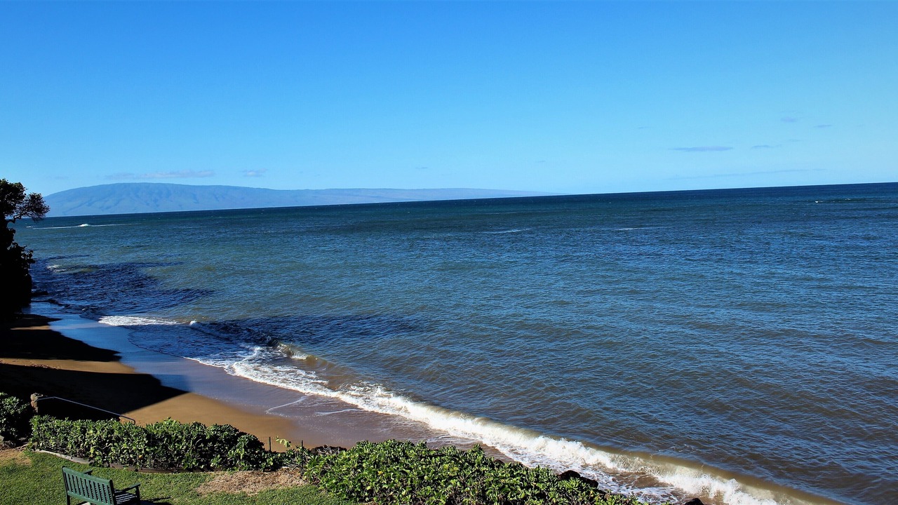 Photo of Others in Kahana
