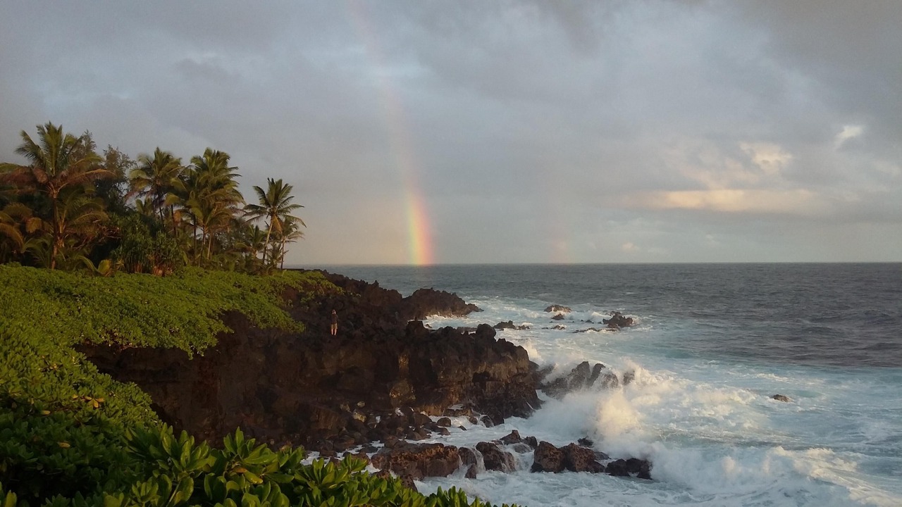 Photo of Others in Kapoho