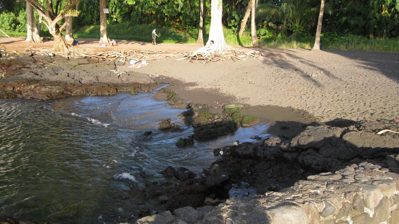 Photo of Others in Kapoho
