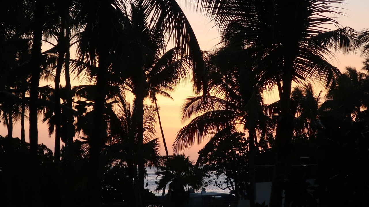 Photo of Others in Waikiki