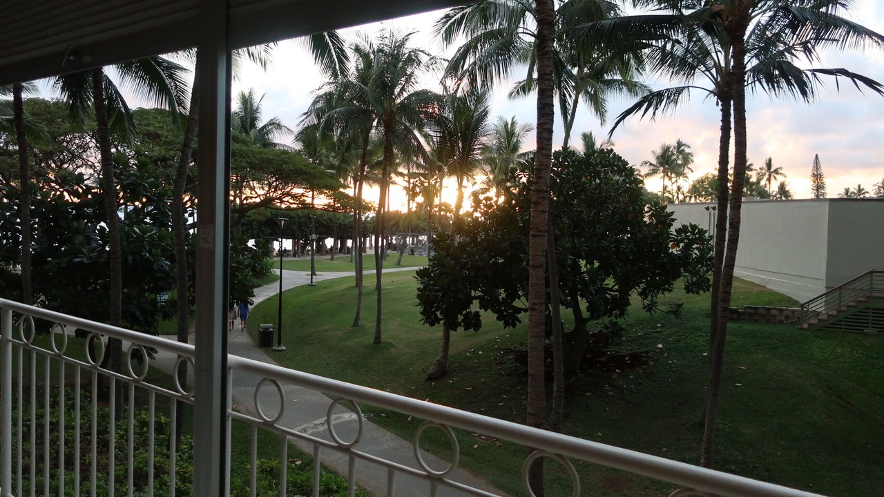 Photo of Outdoor in Waikiki
