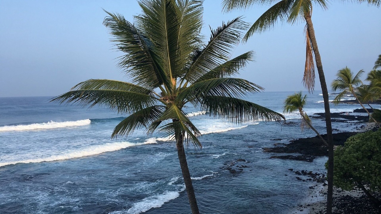 Photo of Others in Kailua-Kona