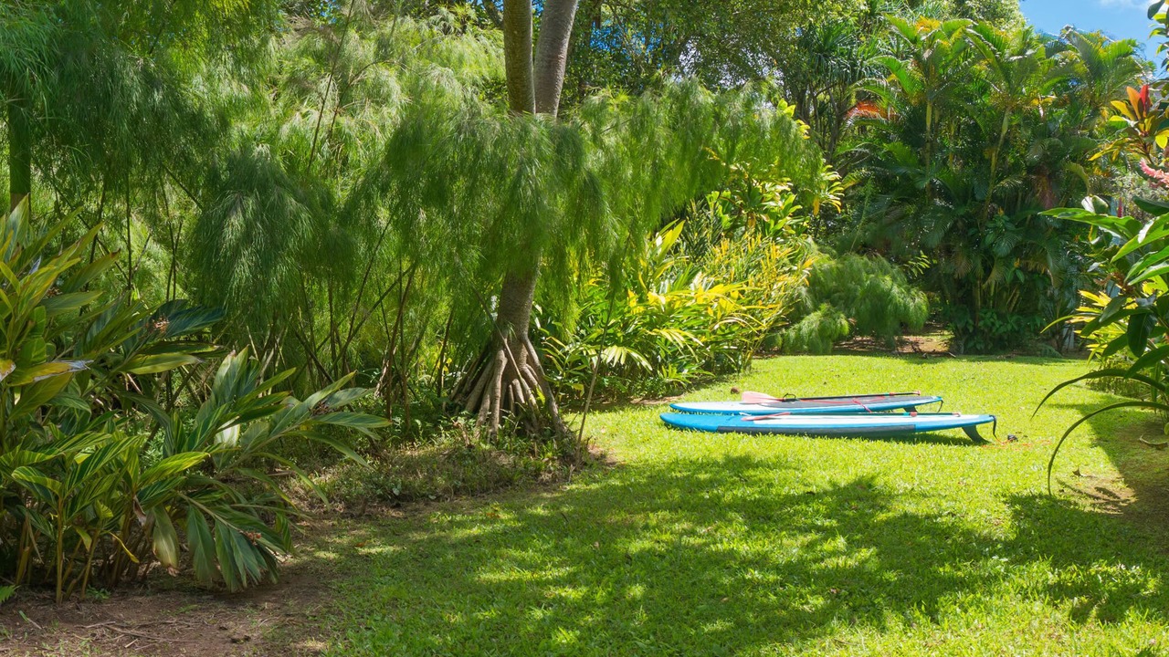 Photo of Others in Wainiha