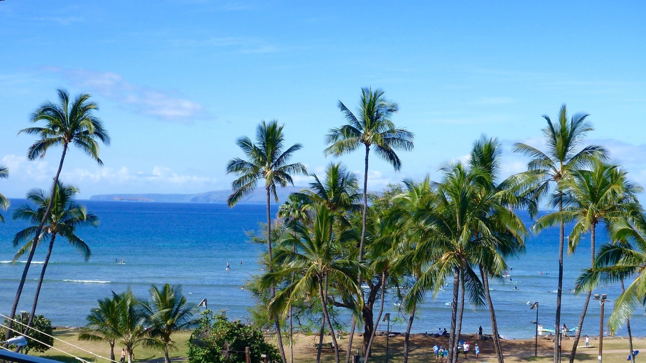 Photo of Bedroom in Kihei
