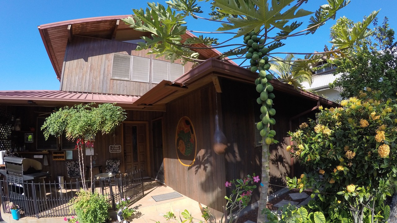 Photo of Outdoor in Kona Paradise
