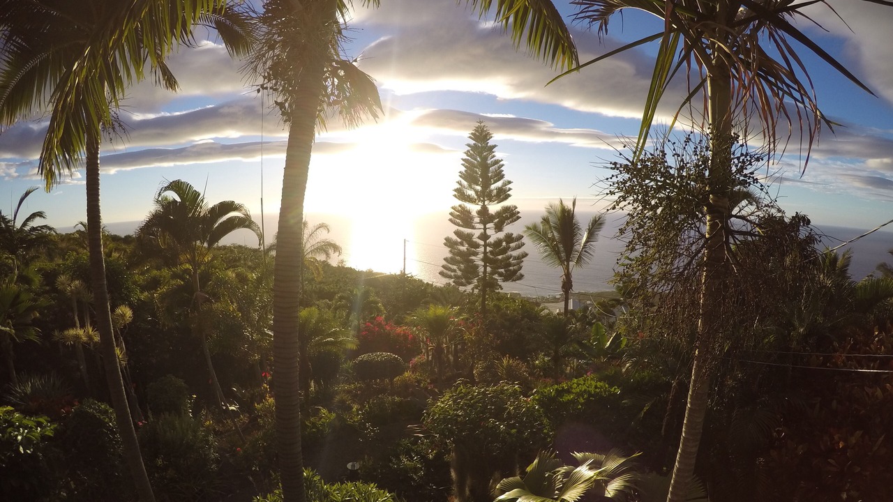 Photo of Outdoor in Kona Paradise