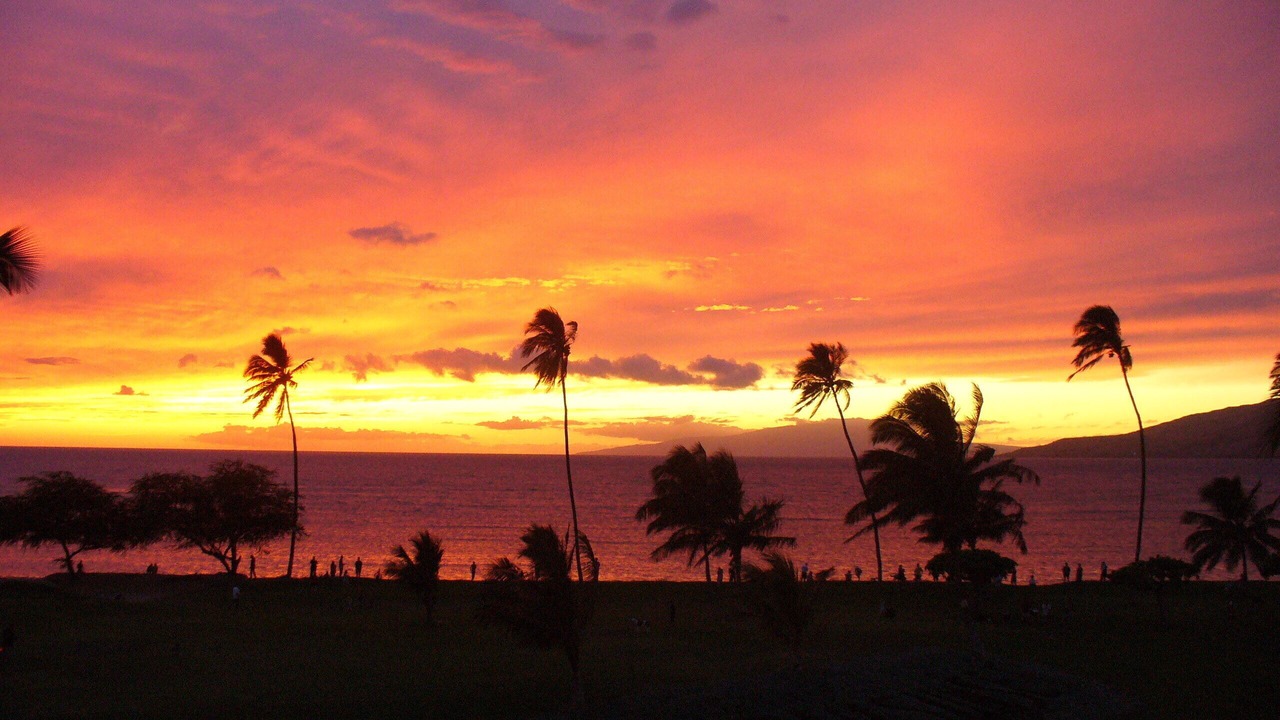 Photo of Others in Kihei
