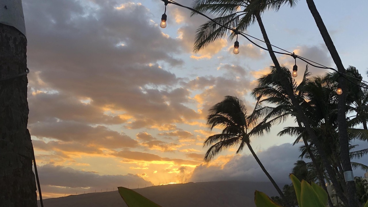 Photo of Others in Kihei