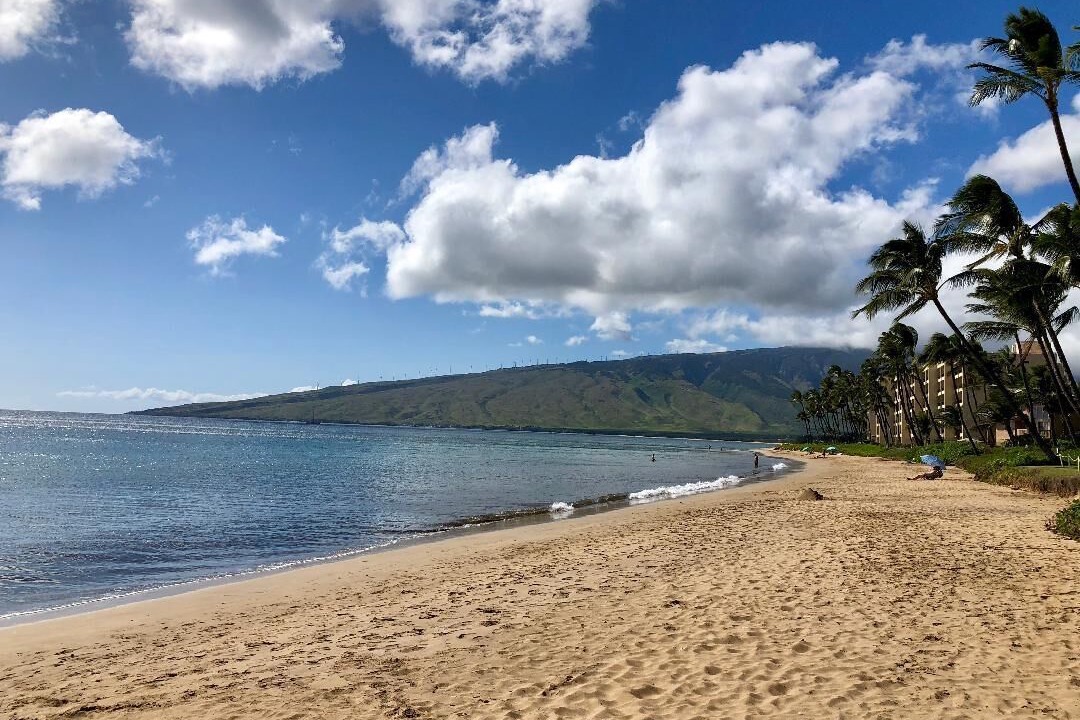 Photo of Others in Kihei