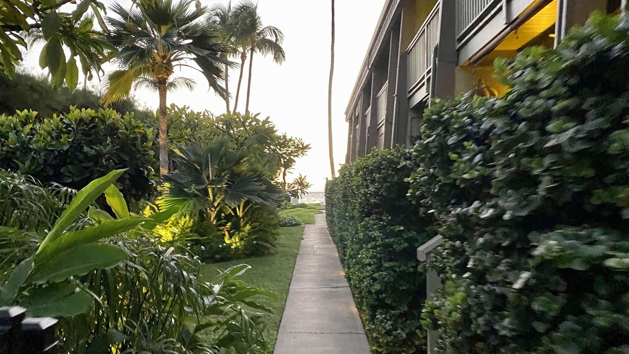 Photo of Others in Kihei