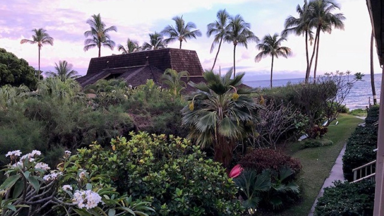 Photo of Others in Kihei