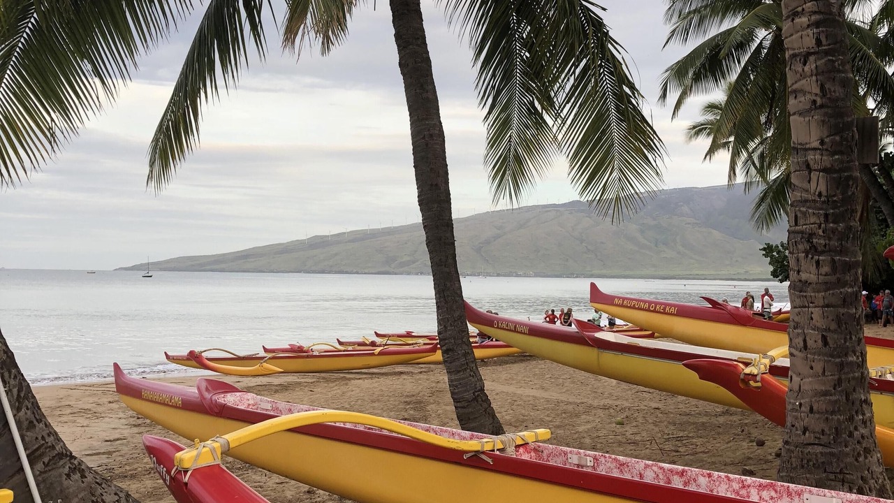Photo of Others in Kihei