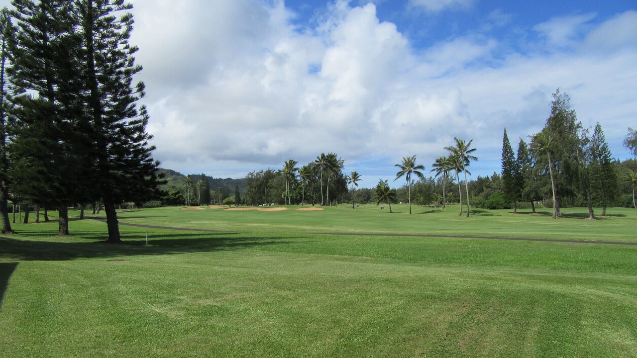 Photo of Bedroom in Kahuku