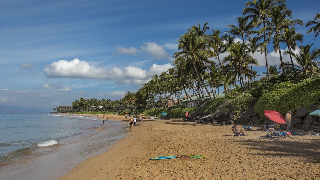 Photo of Others in Wailea