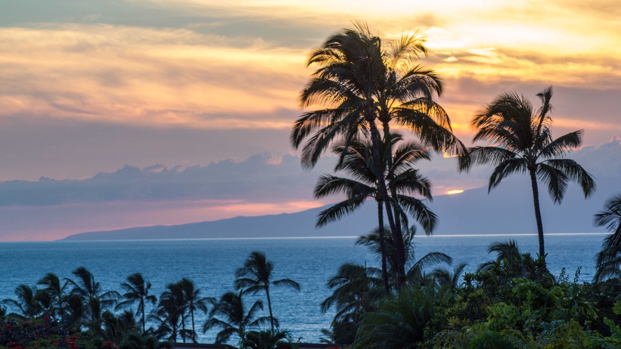 Photo of Others in Wailea