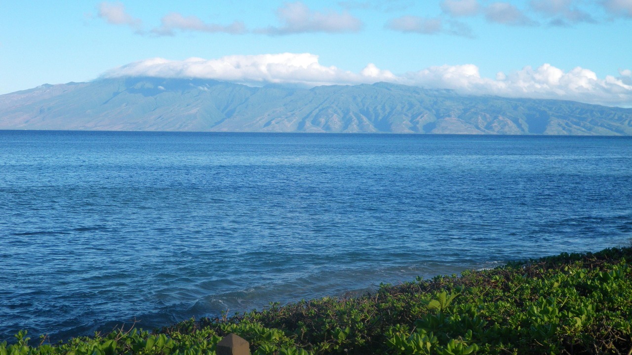Photo of Others in Kahana