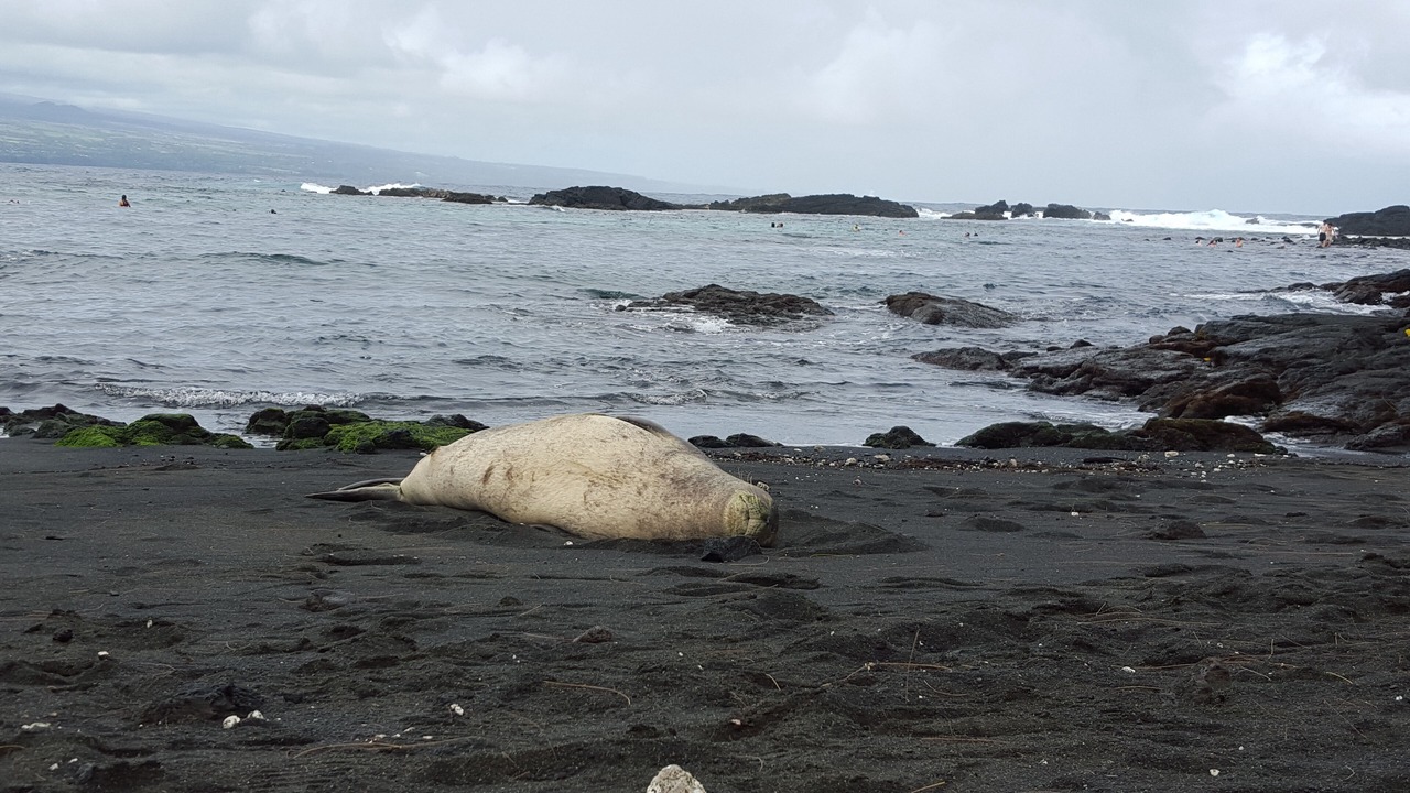 Photo of Others in Keaau