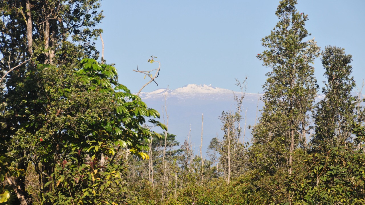 Photo of Others in Keaau