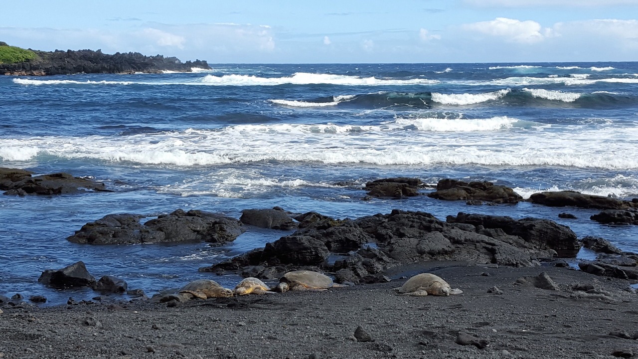 Photo of Others in Keaau