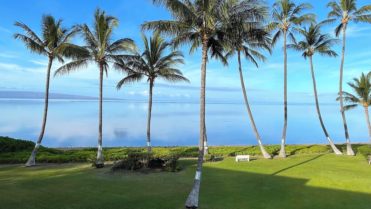 Photo of Outdoor in Kaunakakai