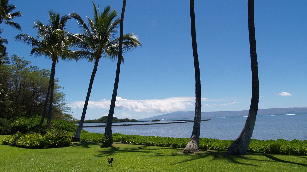 Photo of Others in Kaunakakai