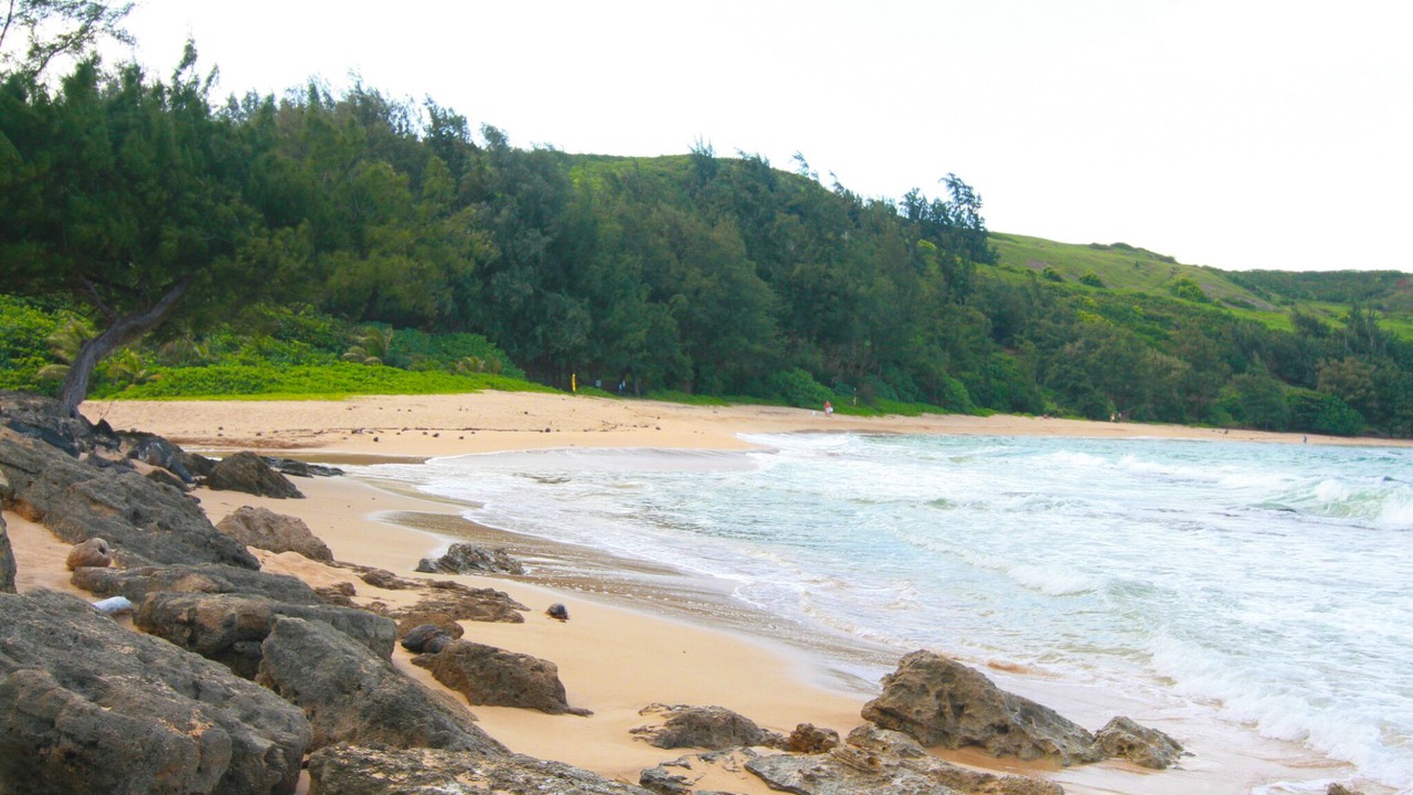 Photo of Others in Kilauea