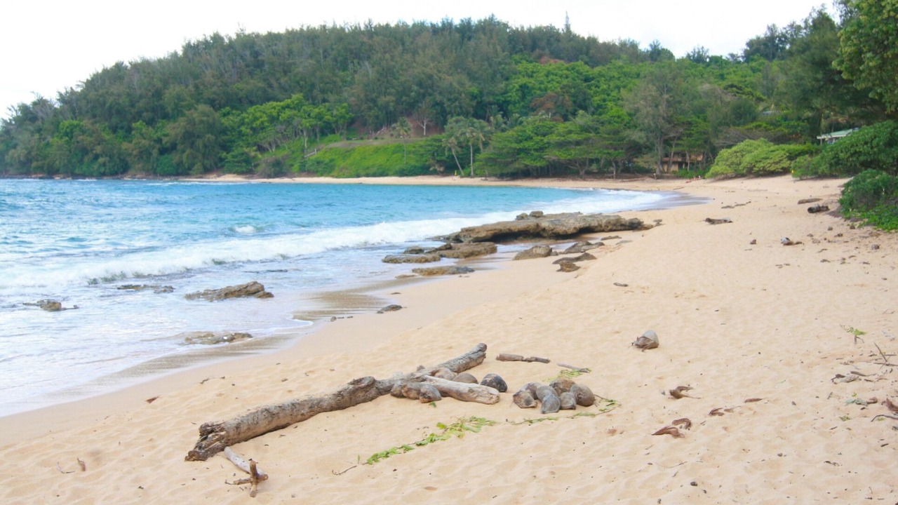 Photo of Others in Kilauea