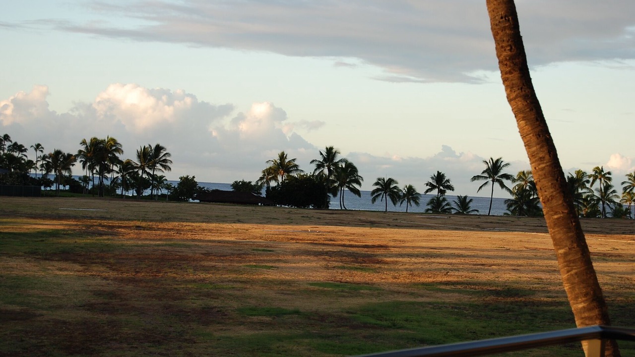 Photo of Others in Ko Olina