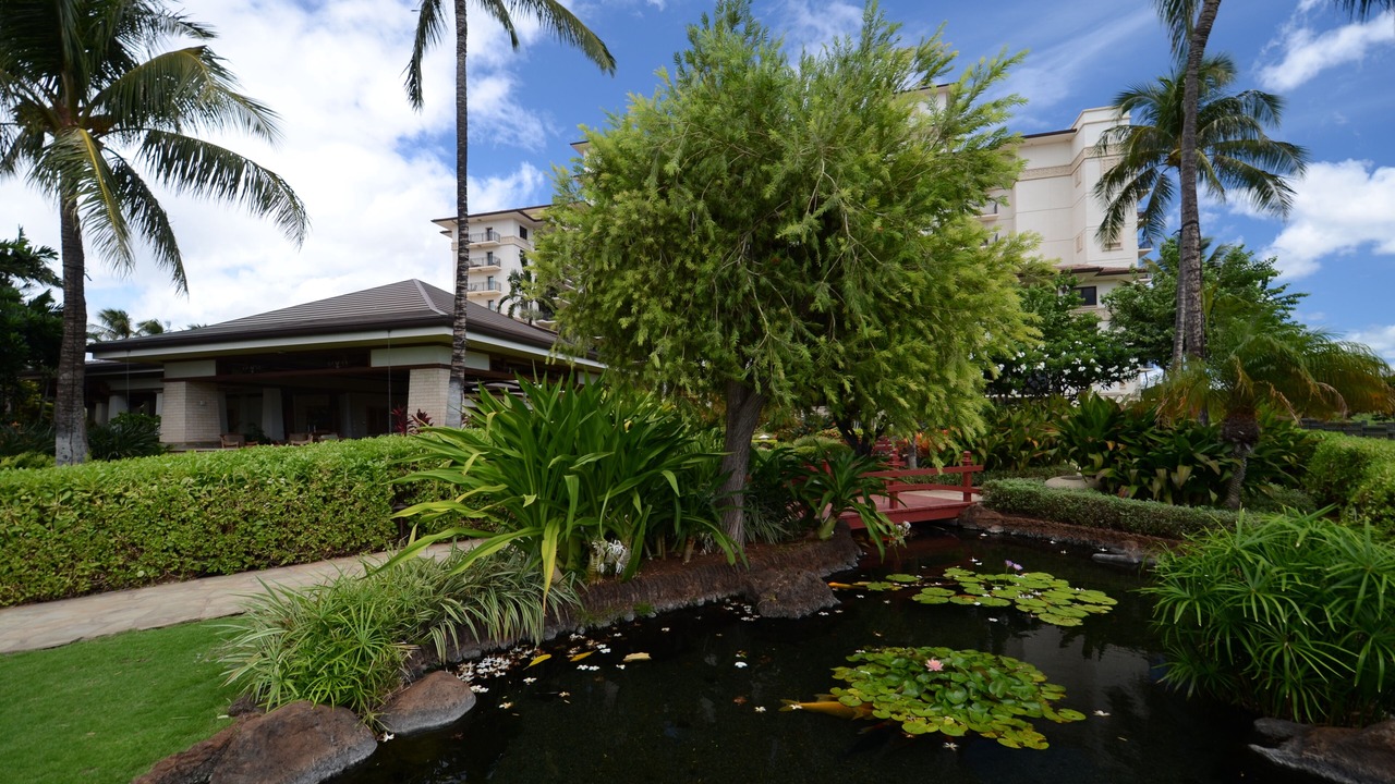 Photo of Outdoor in Ko Olina
