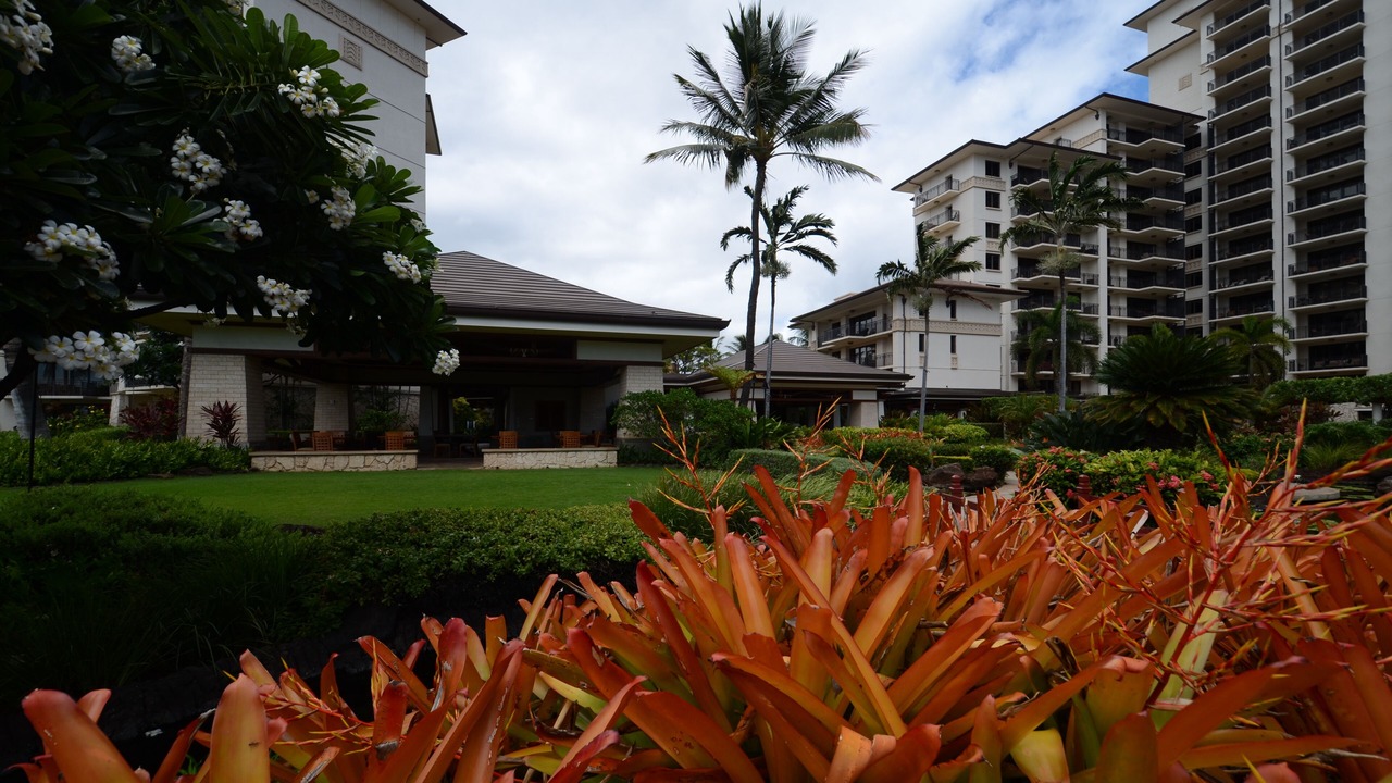 Photo of Outdoor in Ko Olina