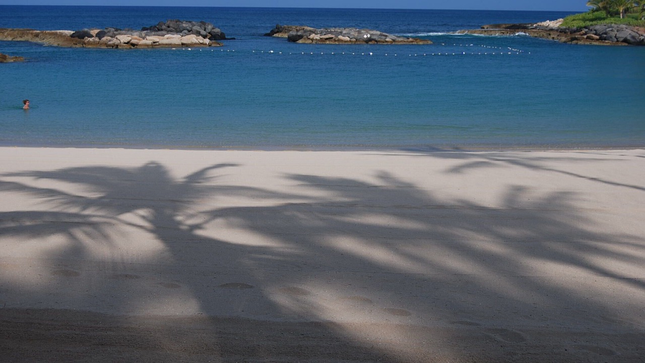 Photo of Others in Ko Olina