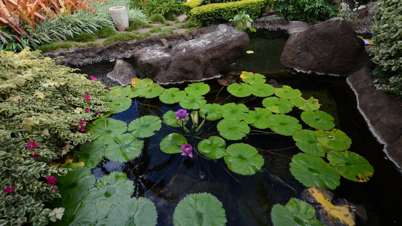 Photo of Outdoor in Ko Olina