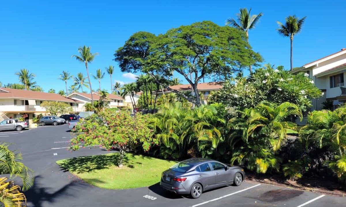 Photo of Others in Keauhou