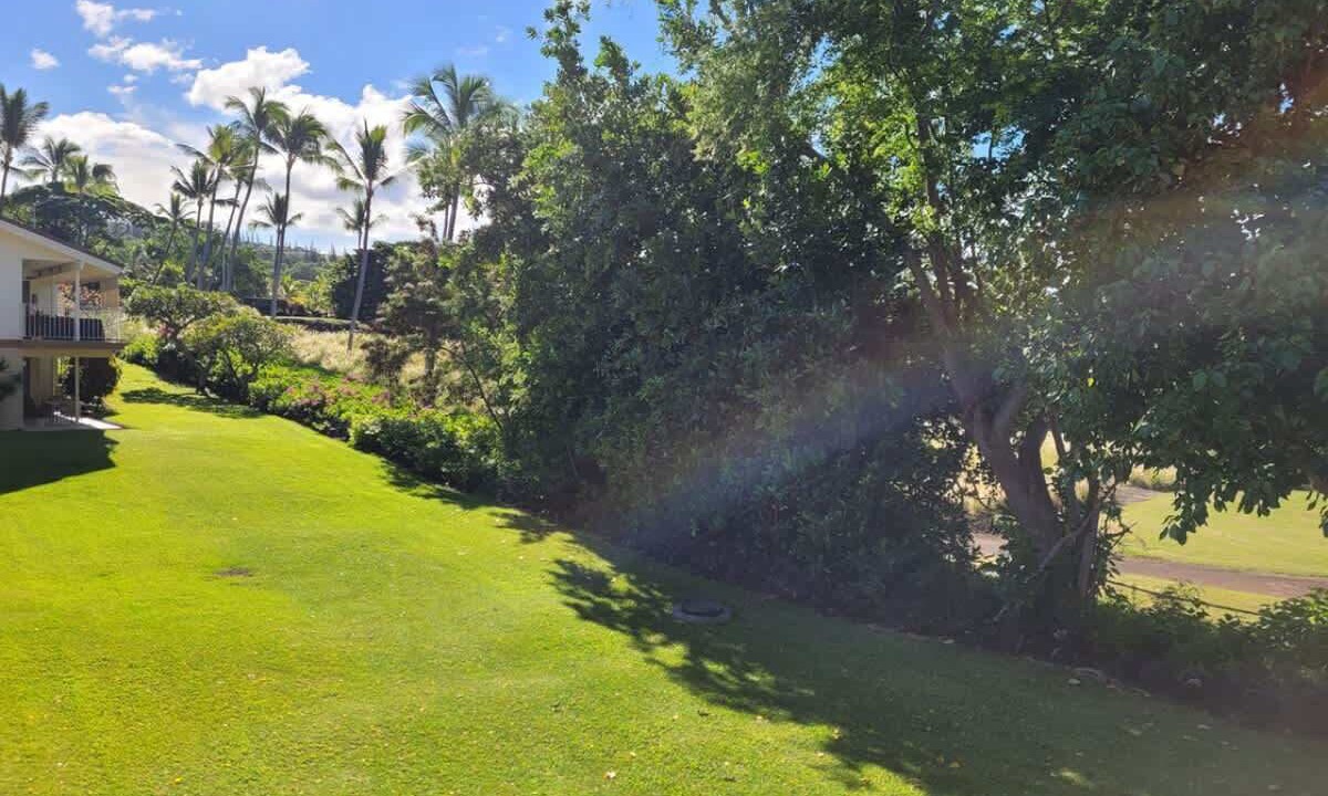 Photo of Others in Keauhou