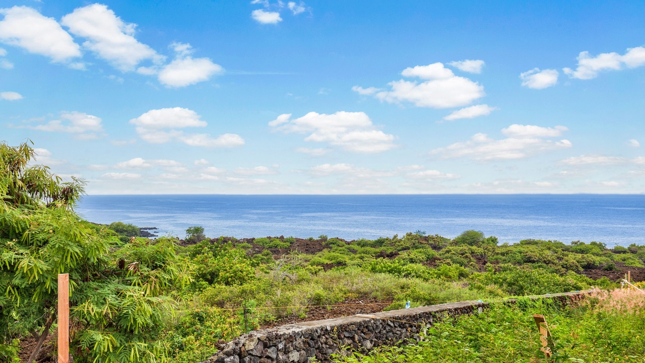 Photo of Others in Kona Paradise