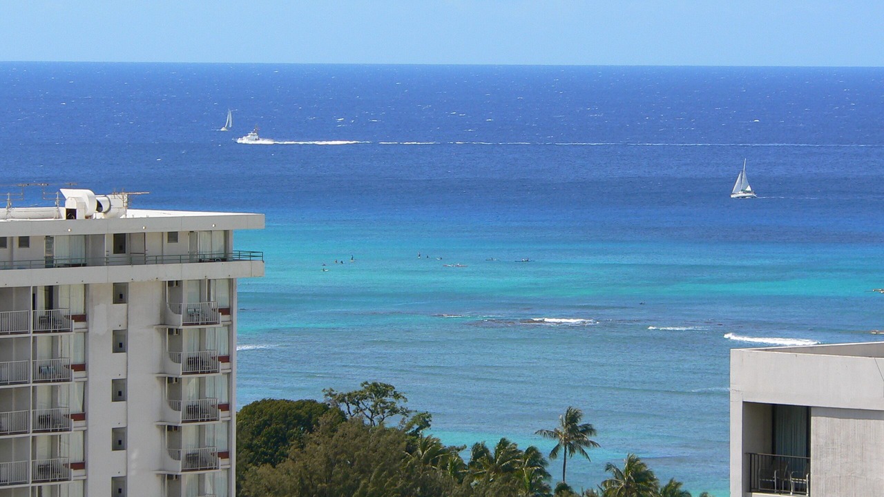 Photo of Others in Waikiki