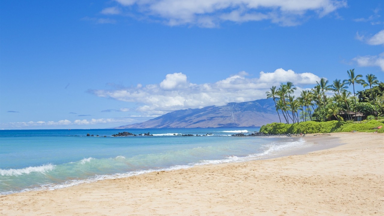 Photo of Others in Wailea