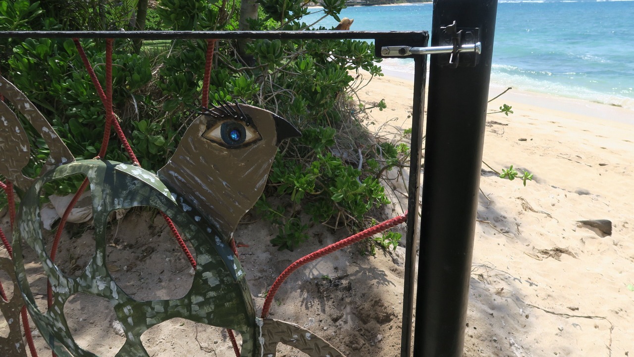 Photo of Others in Waialua