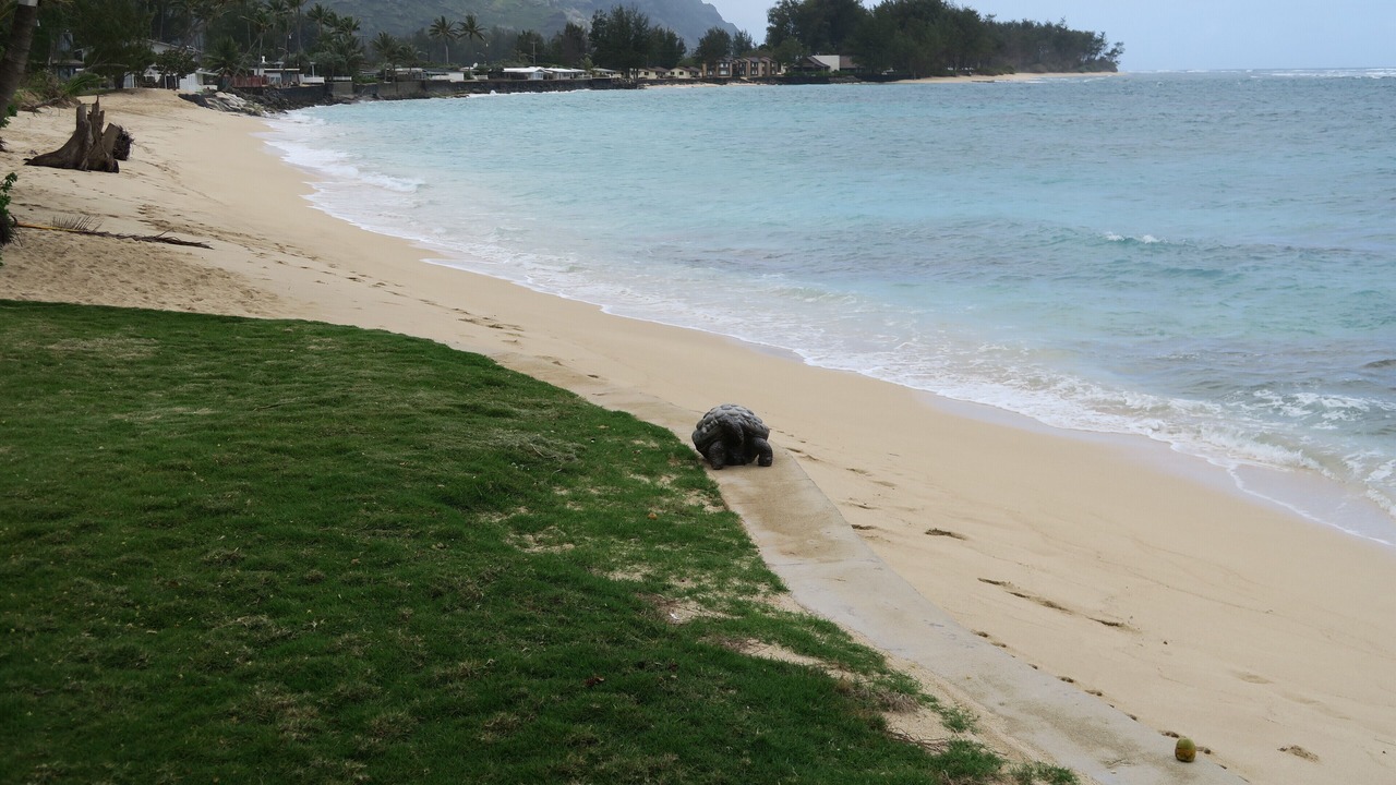 Photo of Others in Waialua