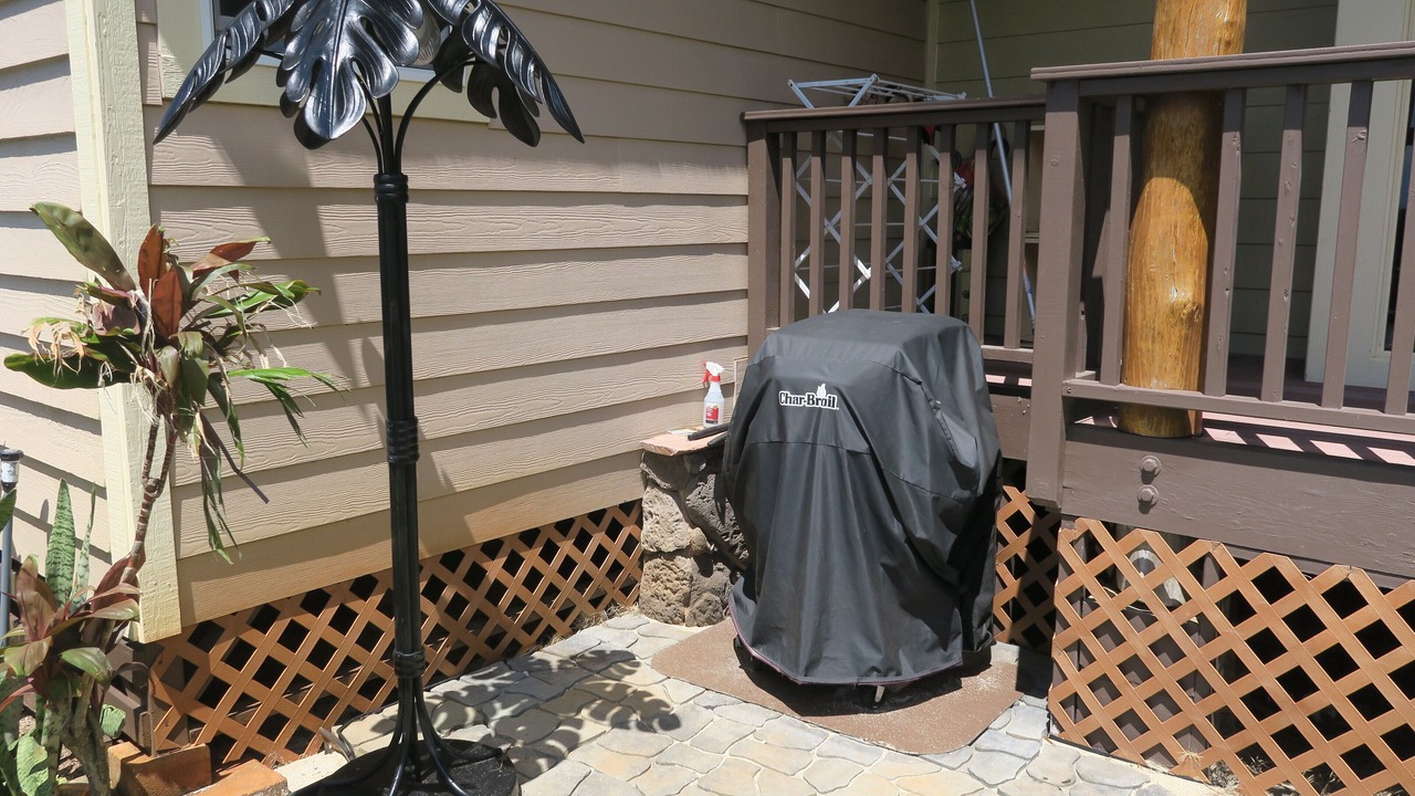 Photo of Outdoor in Waialua
