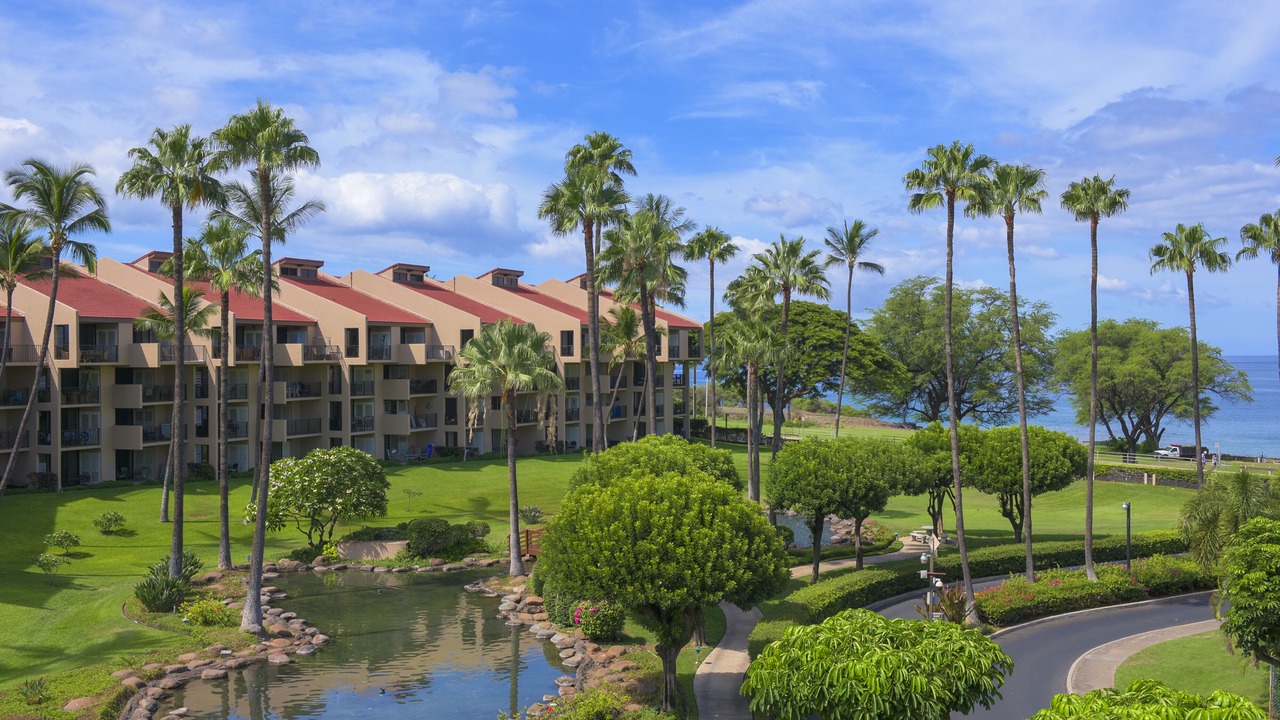 Photo of Outdoor in Kihei