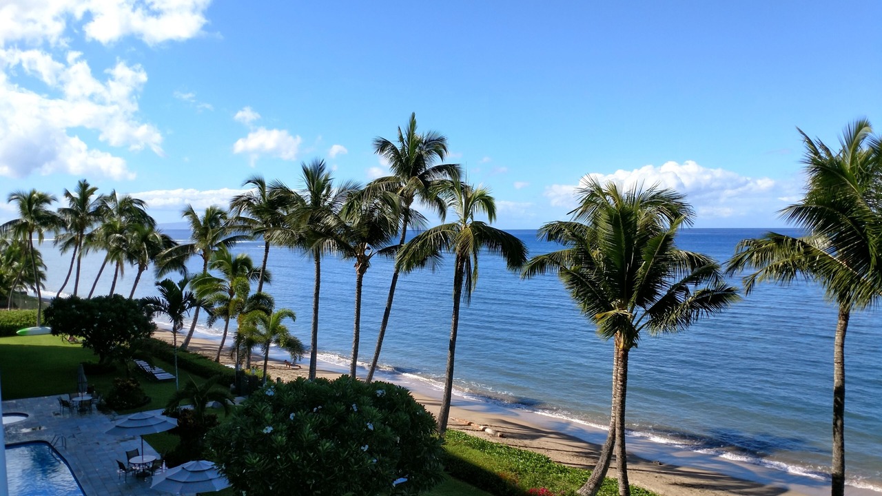 Photo of Others in Historic Lahaina Front Street