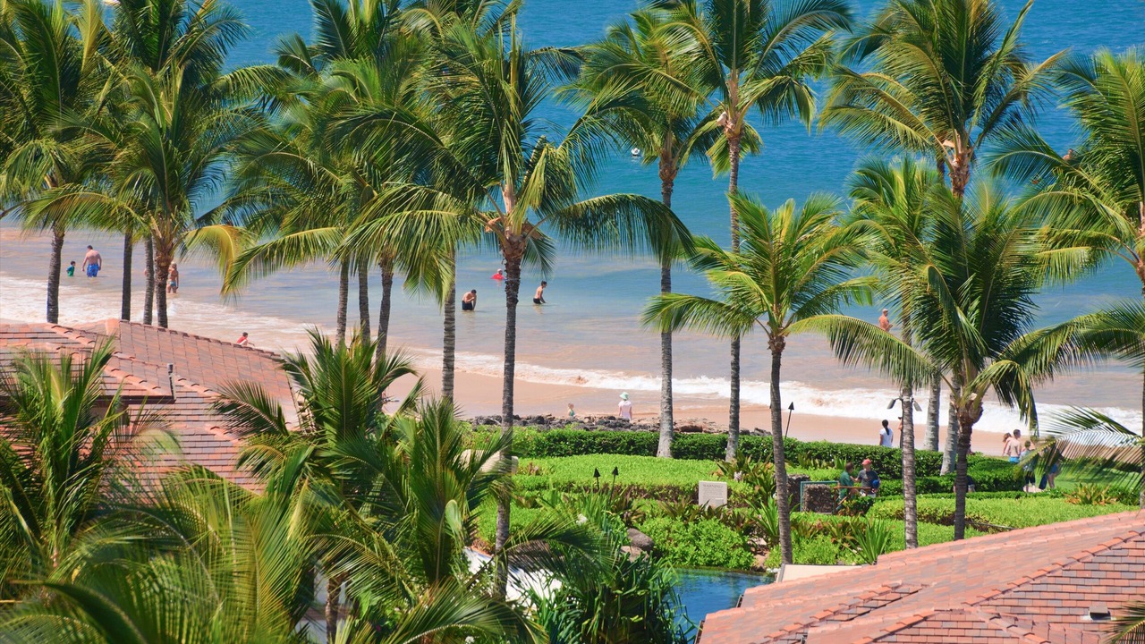 Photo of Others in Wailea