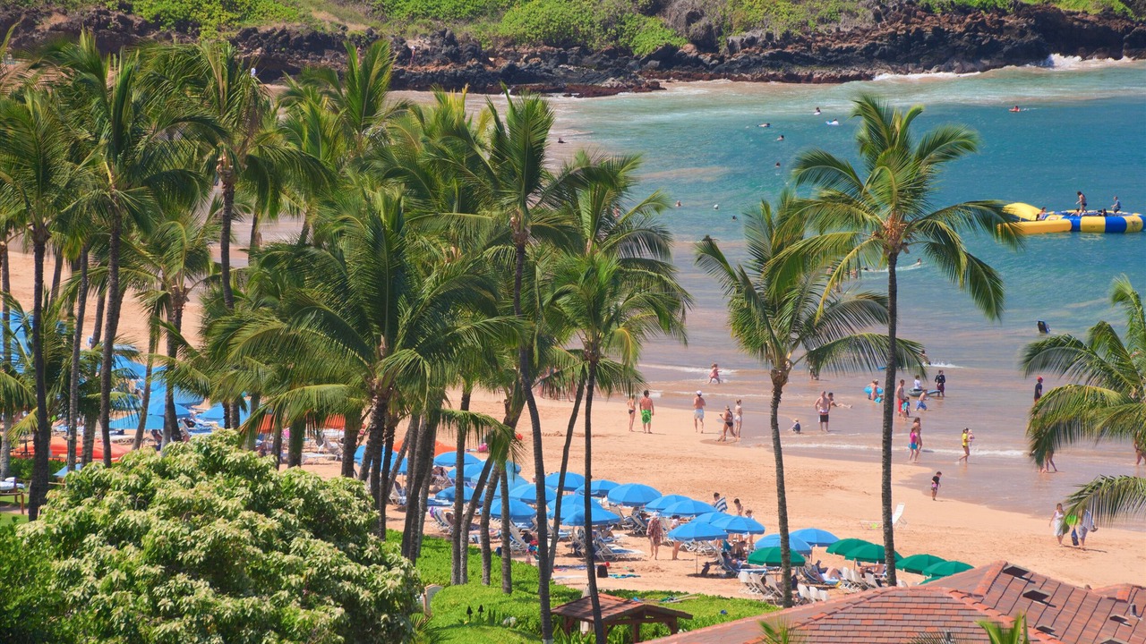 Photo of Others in Wailea