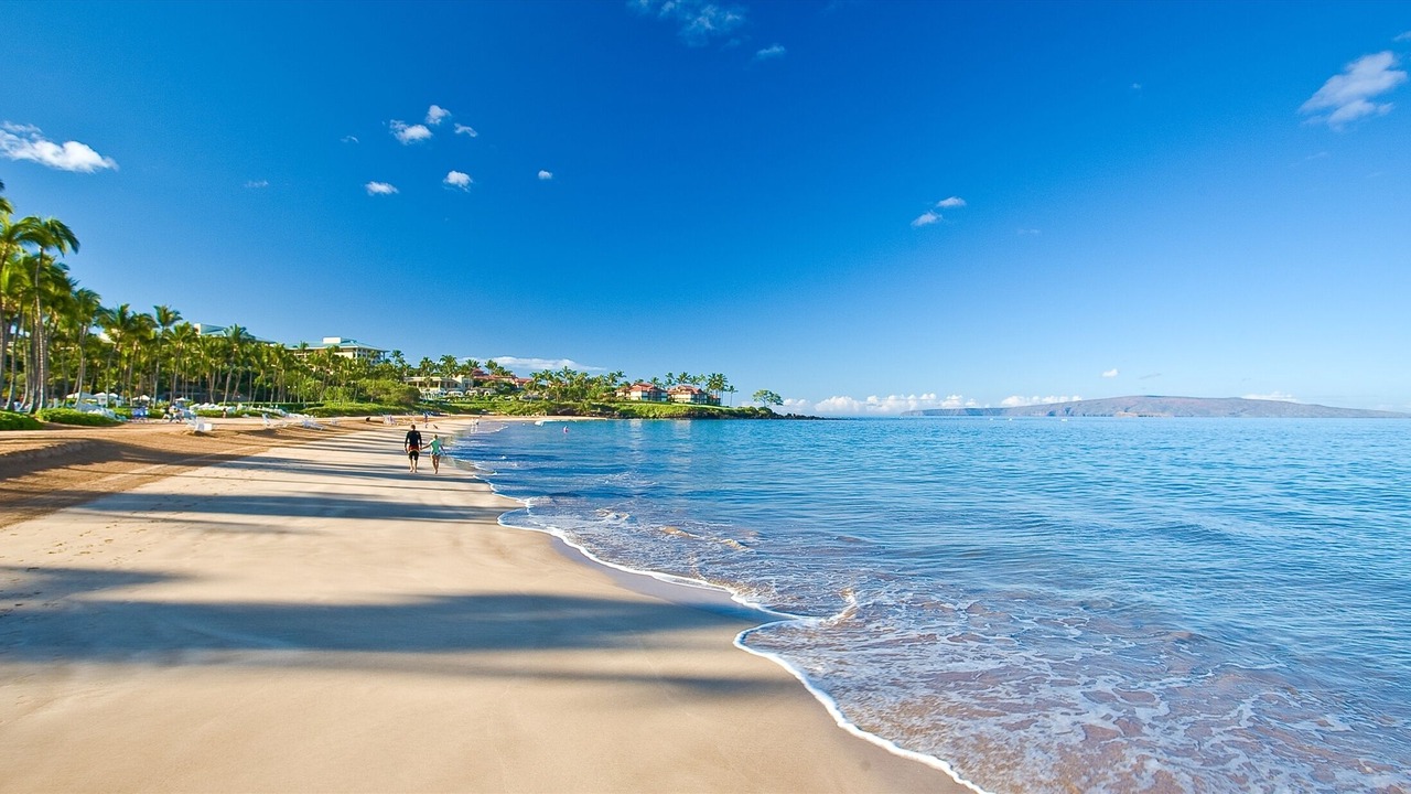 Photo of Others in Wailea