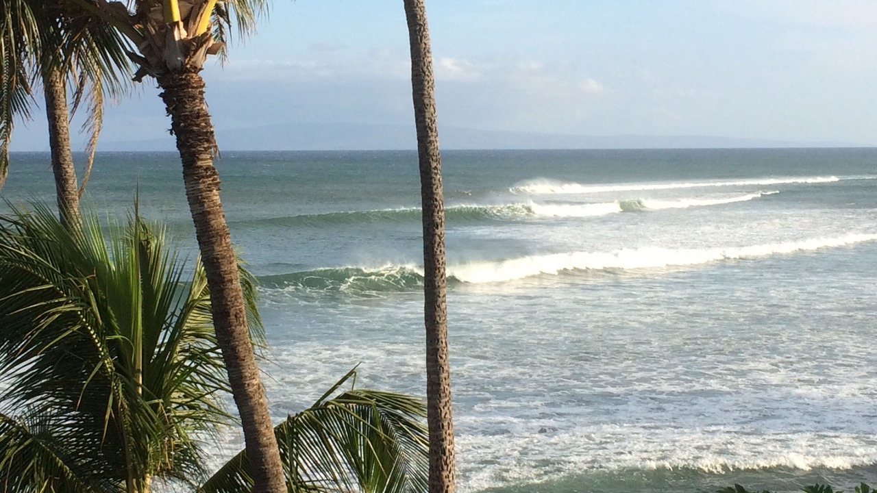 Photo of Others in Maalaea